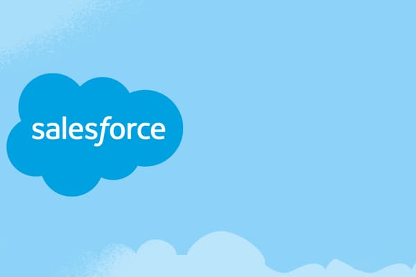 Salesforce-Audit