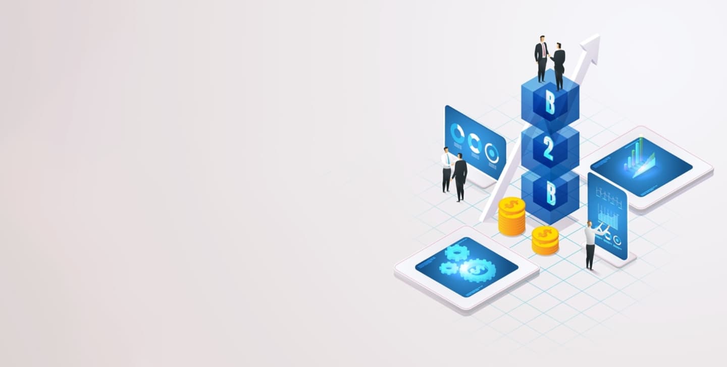 B2B-E-commerce case study
