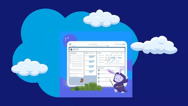 Salesforce-Genie