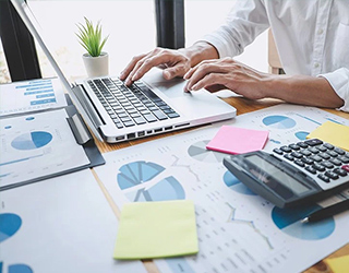 accounting seed customization