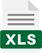 XLS Icon